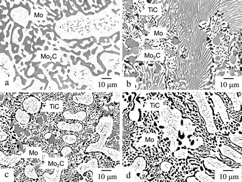 Solidification Pathways And Phase Equilibria In The MoTiC Ternary System