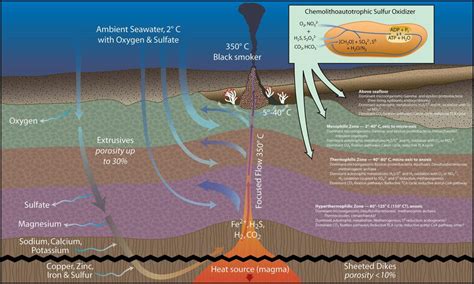 Hydrothermal Vents Woods Hole Oceanographic Institution