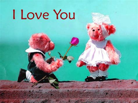 I Love You Teddy Bear Hd Images Free Download Love Teddy Bear