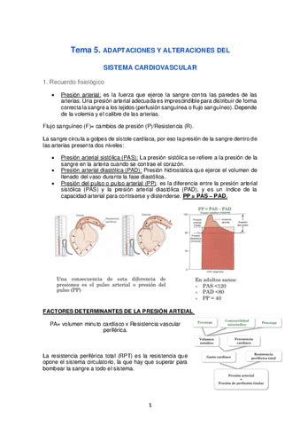 Cardio Fisiopatologia Completo Pdf