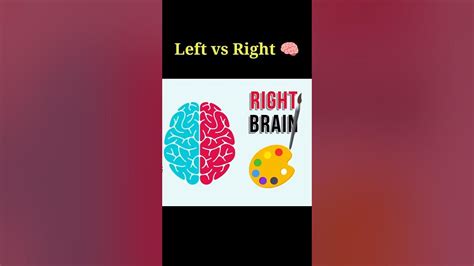 Who Are You 🤔 Left Or Right Brain 🧠 Science Education Facts Viral Mind Youtube