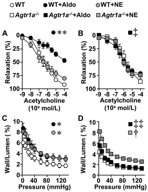 Aldosterone Induced Vascular Remodeling And Endothelial Dysfunction