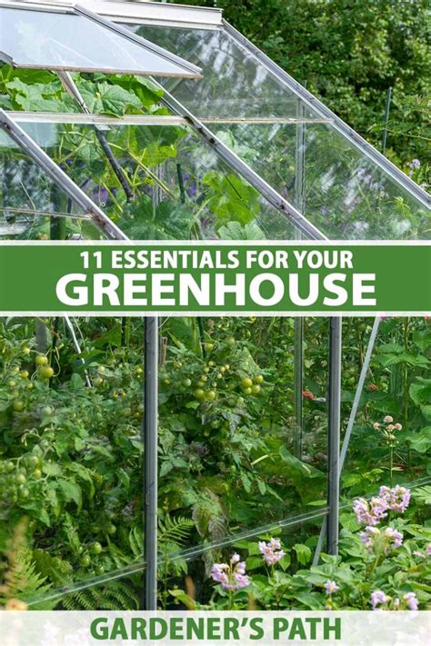 11 Essential Greenhouse Supplies To Get Started