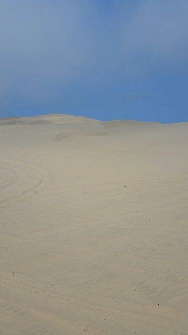 Endless Sand Dunes At Oregon Coast