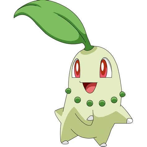 Chikorita