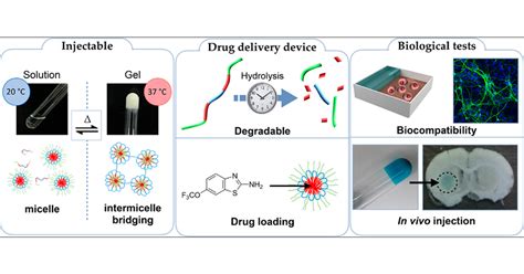 Degradable And Injectable Hydrogel For Drug Delivery In Soft Tissues