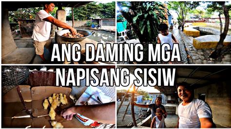 Diskarte Sa Kulungan Ng Mga Bagong Pisang Sisiw Na Pabo At Muscovy