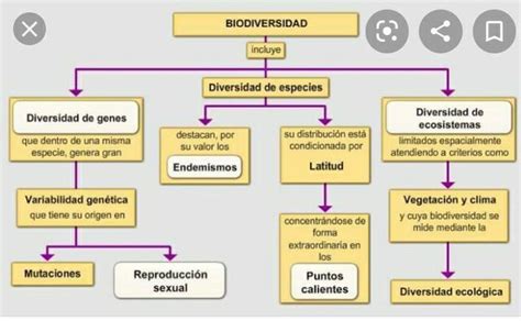 Un Mapa Conceptual O Esquema De Los Conceptos De Especie Poblaci N Y