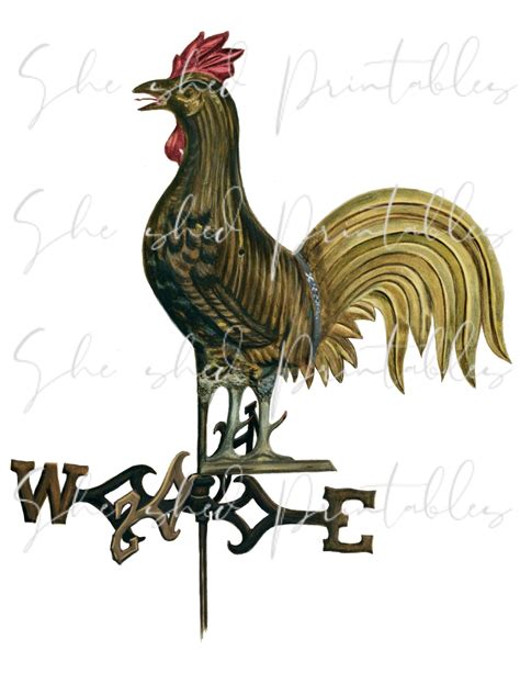 Weathervane Rooster Clipart