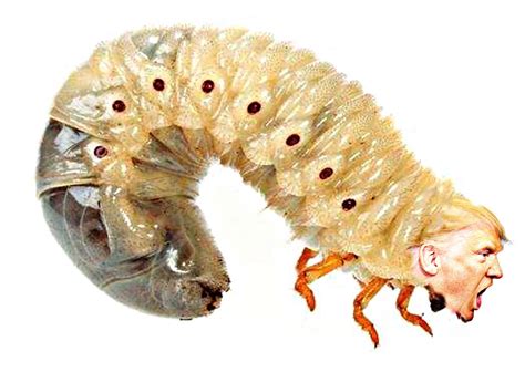 The parasite, my political art : r/UnusualArt