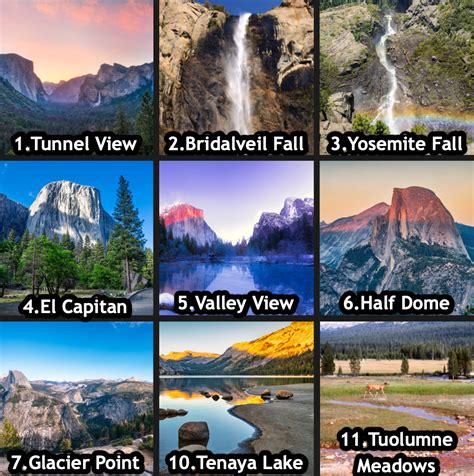 Parque Nacional De Yosemite【2024】una Guía De Viaje Completa Guía De Viaje Howlifeusa