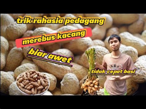 Cara Rebus Kacang Tanah Kulit Empuk Tanpa Panci Kukus YouTube