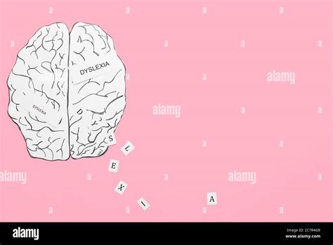 Dyslexia Brain Hi Res Stock Photography And Images Alamy