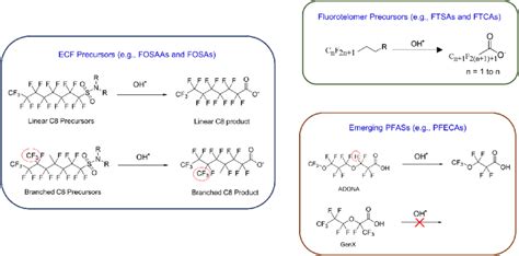 A Schematic Diagram Of The PFAS Precursor Oxidative Conversion Process