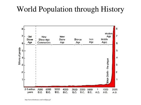 PPT - Population PowerPoint Presentation, free download - ID:1308342