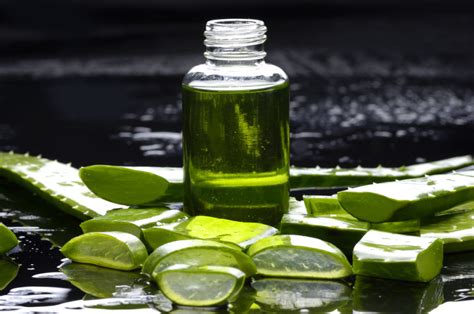 Beneficios Del Aloe Vera Hoy Saludable