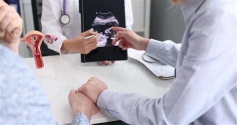 Gynecologist Showing Ischial Tuberosity Or Ischial Bones On Pelvic