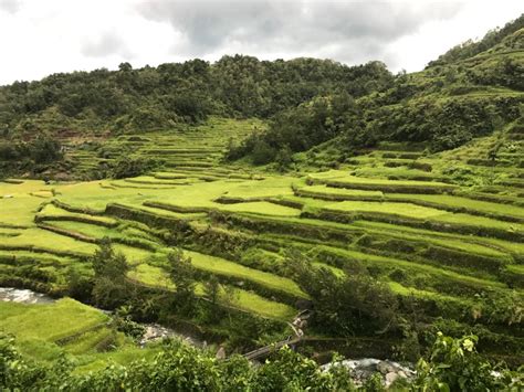 Saan Matatagpuan Ang Rice Terraces O Hagdan Hagdang Palayan Kalakal