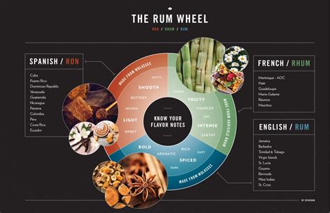 What Is Rum A Beginners Guide To The Category