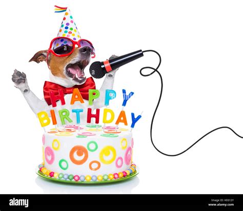 Jack Russell Dog As A Surprise Singing Birthday Song Like Karaoke With