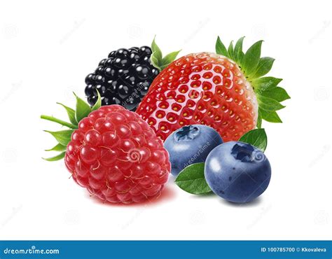 Strawberry Raspberry Blackberry And Blueberry Isolated Stock Photo