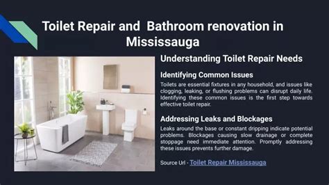 PPT Toilet Repair And Bathroom Renovation In Mississauga PowerPoint