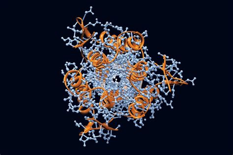 Glycoprotein Structure