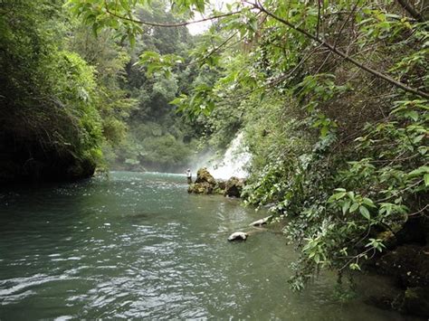 Fly Fishing Chile:Too Many Rivers | BACKWATER ANGLER