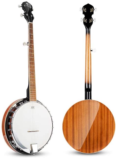 Beginner Banjos A Guide Learn To Play Banjo Chordonblues