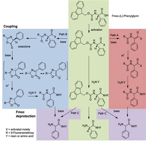 Figure 1 From Phenylglycine Racemization In Fmoc Based Solid Phase