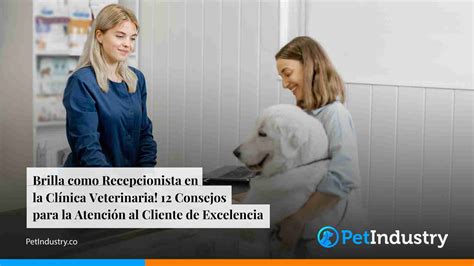 Brilla Como Recepcionista En La Clínica Veterinaria 12 Consejos Para