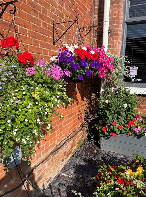 Anglia In Bloom Blooming Marvellous Result As Stansted Wins Four Awards