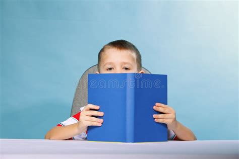 1242 Little Boy Reading Blue Book Stock Photos Free And Royalty Free