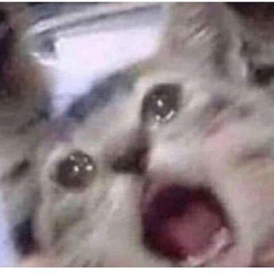 Thats Pretty Gay Stopandfeedme Twitter