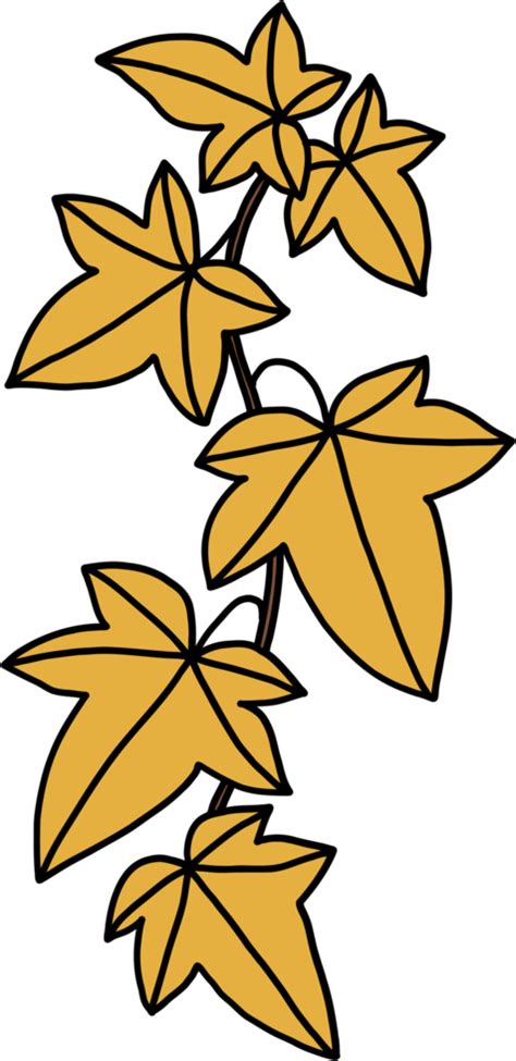 Simplicity Ivy Freehand Drawing Flat Design Png