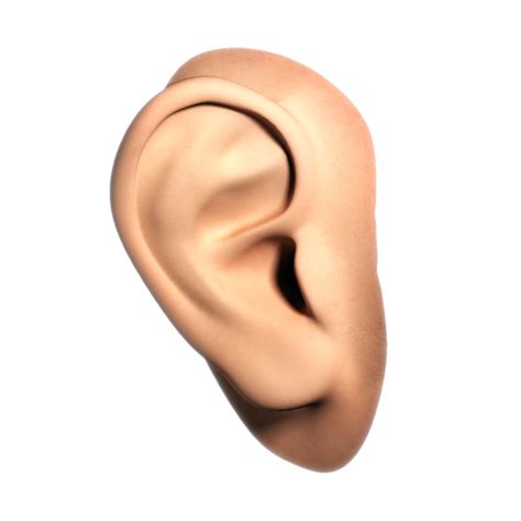 Ear Png Image Ear Transparent Background Piercing