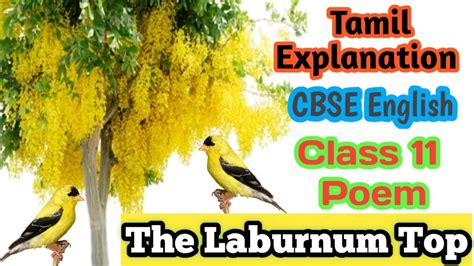 The Laburnum Top Class 11 English Poem 2 in தமழ YouTube