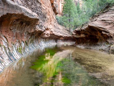 Complete Guide To Hiking West Fork Trail In Sedona Az