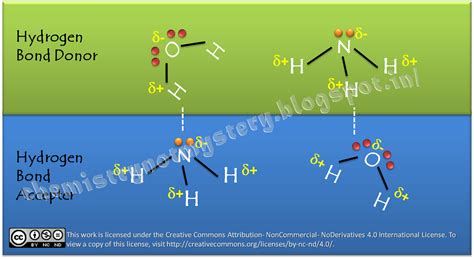 Chemistry What Are Hydrogen Bond Accepter And Hydrogen Bond Donor