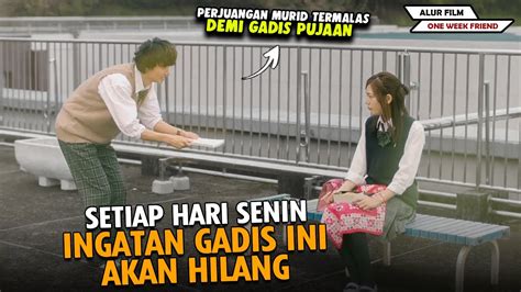 Perjuangan Murid Terbodoh Mengejar Gadis Yang Hilang Ingatan Alur