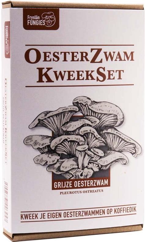 Oesterzwam Starterset Grijze Oesterzwam Maak Je Eigen Growkit Kweek