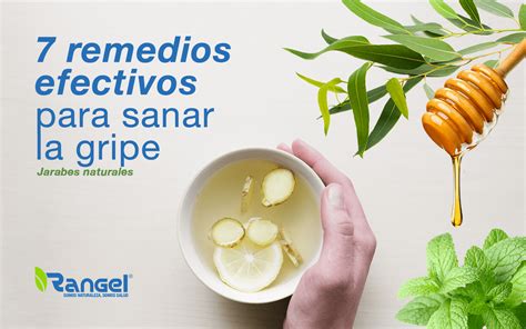 7 Remedios Efectivos Para Sanar La Gripe Laboratorios Rangel