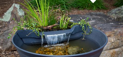 Aquascape Aquagarden Pond And Waterfall Kit Container Outdoor