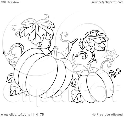 Pumpkin Vine Coloring Page at GetColorings.com | Free printable ...