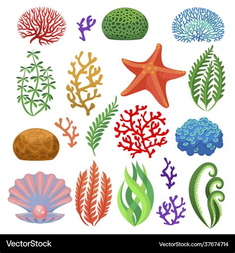 Seaweeds Cartoon Colorful Underwater Reef Corals Vector Image