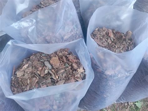 Кора Сосна Чернозем Торф Мульча Крупна: 50 грн. - Сад / город Буча на Olx