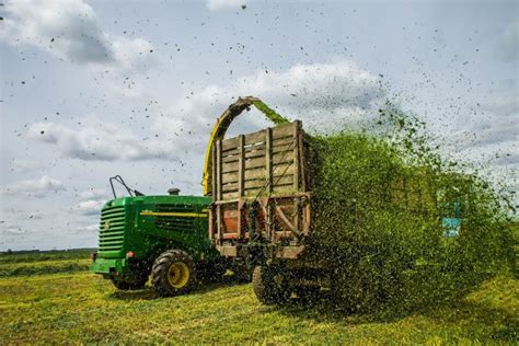 Что такое силос? Технология приготовления высокопитательных кормов ...