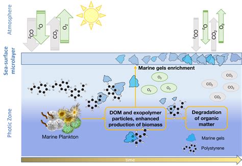 Plastics Affect The Ocean S Uptake Of Atmospheric Co Across The Marine