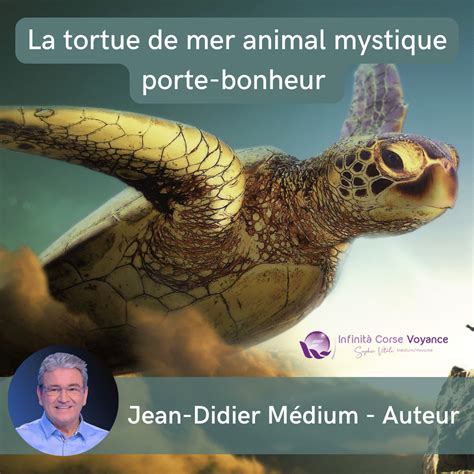 La Tortue De Mer Porte Bonheur Symbole De Protection Et De Long Vit