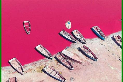 Tripadvisor Journée île de Gorée et Lac Rose proposé par Senegal